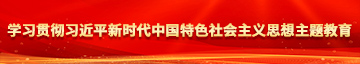 黑鸡巴日逼片学习贯彻习近平新时代中国特色社会主义思想主题教育